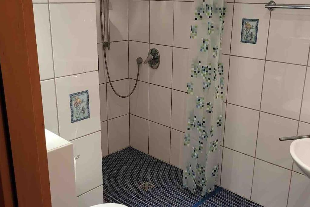 Apartment Im Pfaelzerwald Lambrecht  Exteriér fotografie